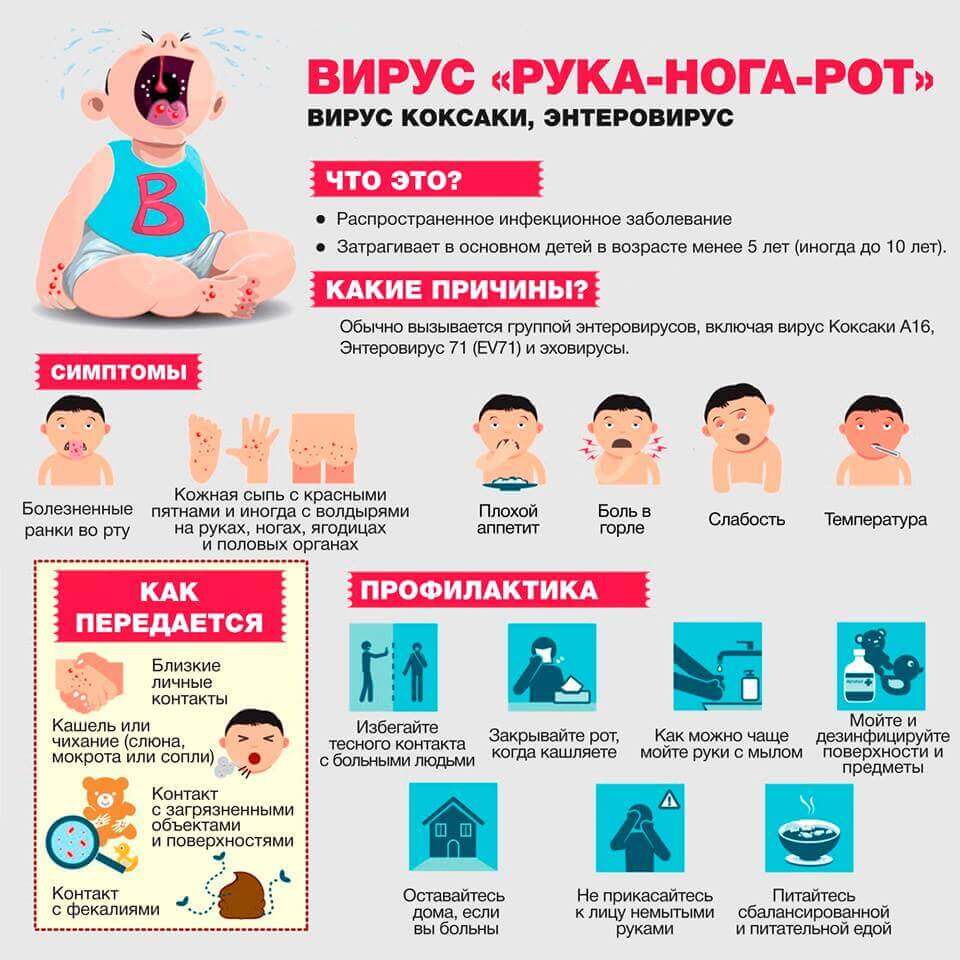 Небезпечно: ентеровірусні інфекції! детская больница запорожье КНП «Міська дитяча лікарня №5» ЗМР – це єдина у місті Запоріжжі багатопрофільна дитяча лікарня, де сконцентровано всі види надання спеціалізованої медичної допомоги дитячому населенню: стаціонарної, консультативної амбулаторно-поліклінічної та виїзної для інтенсивної терапії новонародженим.