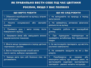 Поради лікаря-алерголога: пам'ятка батькам дітей, які страждають пилковою алергією детская больница запорожье КНП «Міська дитяча лікарня №5» ЗМР – це єдина у місті Запоріжжі багатопрофільна дитяча лікарня, де сконцентровано всі види надання спеціалізованої медичної допомоги дитячому населенню: стаціонарної, консультативної амбулаторно-поліклінічної та виїзної для інтенсивної терапії новонародженим.