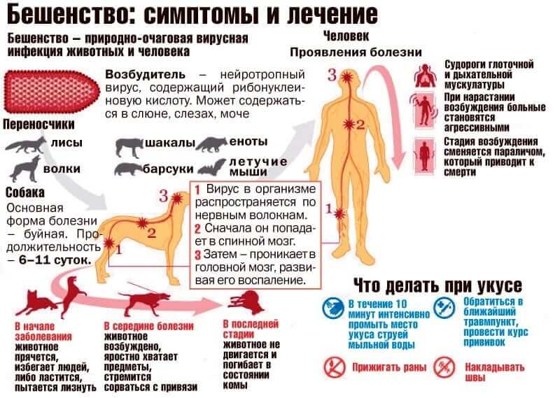 Сказ – це смертельно небезпечно! детская больница запорожье КНП «Міська дитяча лікарня №5» ЗМР – це єдина у місті Запоріжжі багатопрофільна дитяча лікарня, де сконцентровано всі види надання спеціалізованої медичної допомоги дитячому населенню: стаціонарної, консультативної амбулаторно-поліклінічної та виїзної для інтенсивної терапії новонародженим.