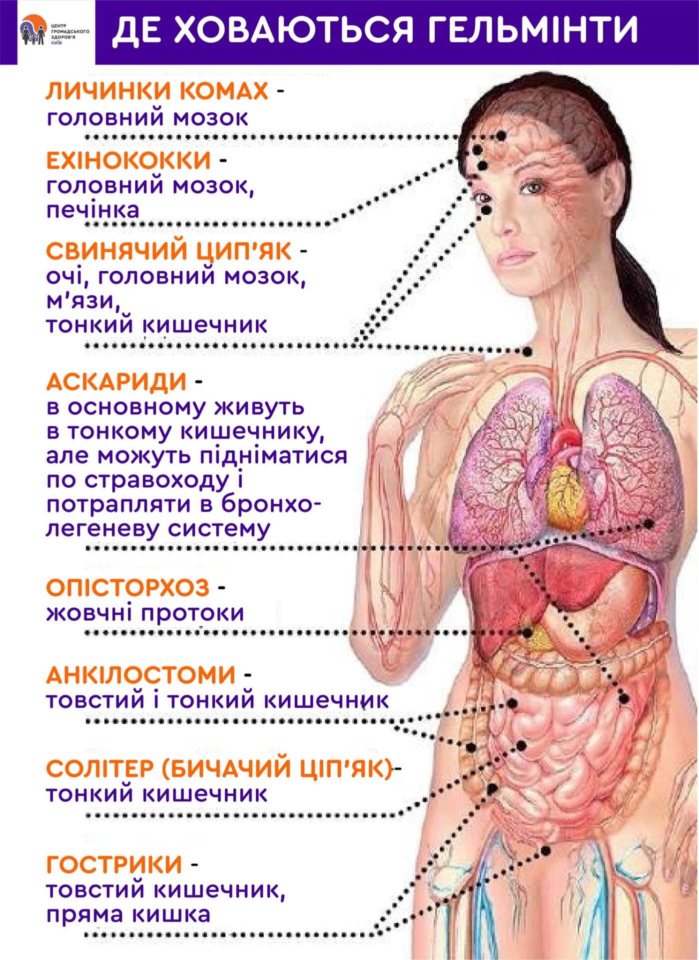 Гельмінтози детская больница запорожье КНП «Міська дитяча лікарня №5» ЗМР – це єдина у місті Запоріжжі багатопрофільна дитяча лікарня, де сконцентровано всі види надання спеціалізованої медичної допомоги дитячому населенню: стаціонарної, консультативної амбулаторно-поліклінічної та виїзної для інтенсивної терапії новонародженим.